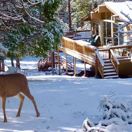 Arrow Lodge Wawona Exterior foto