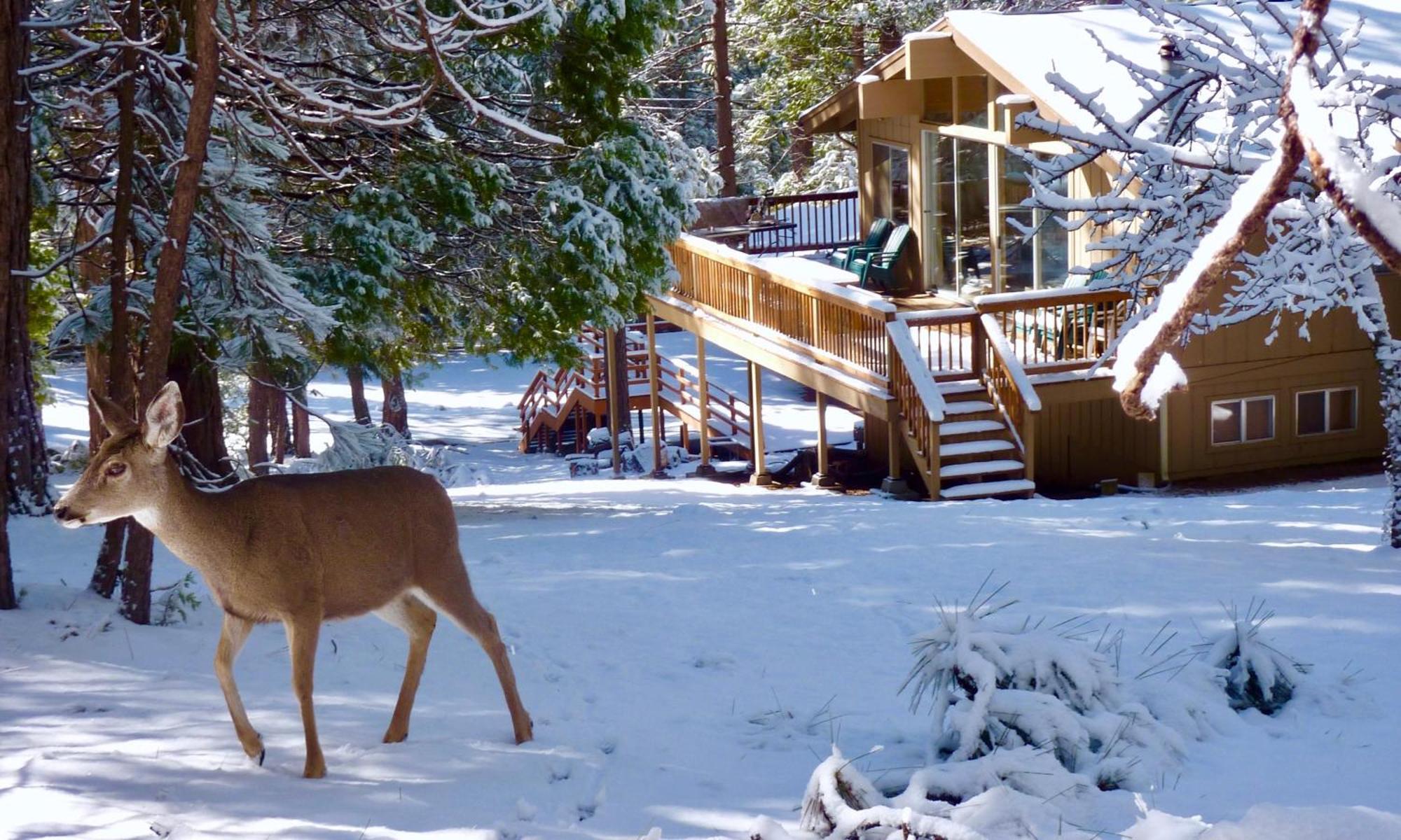 Arrow Lodge Wawona Exterior foto